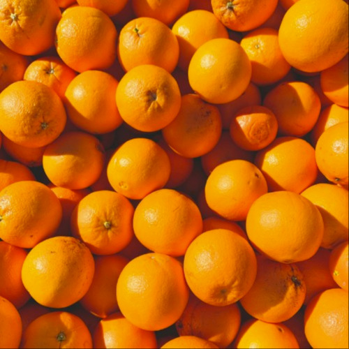 Orangen Naveline (12kg - 28.43 €)